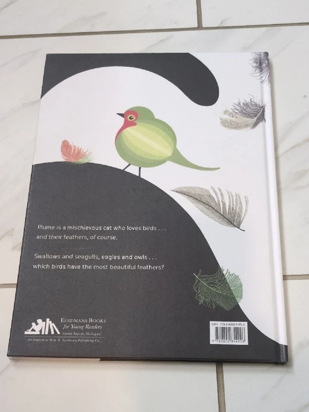 Plume Children's Book By Isabelle Simler